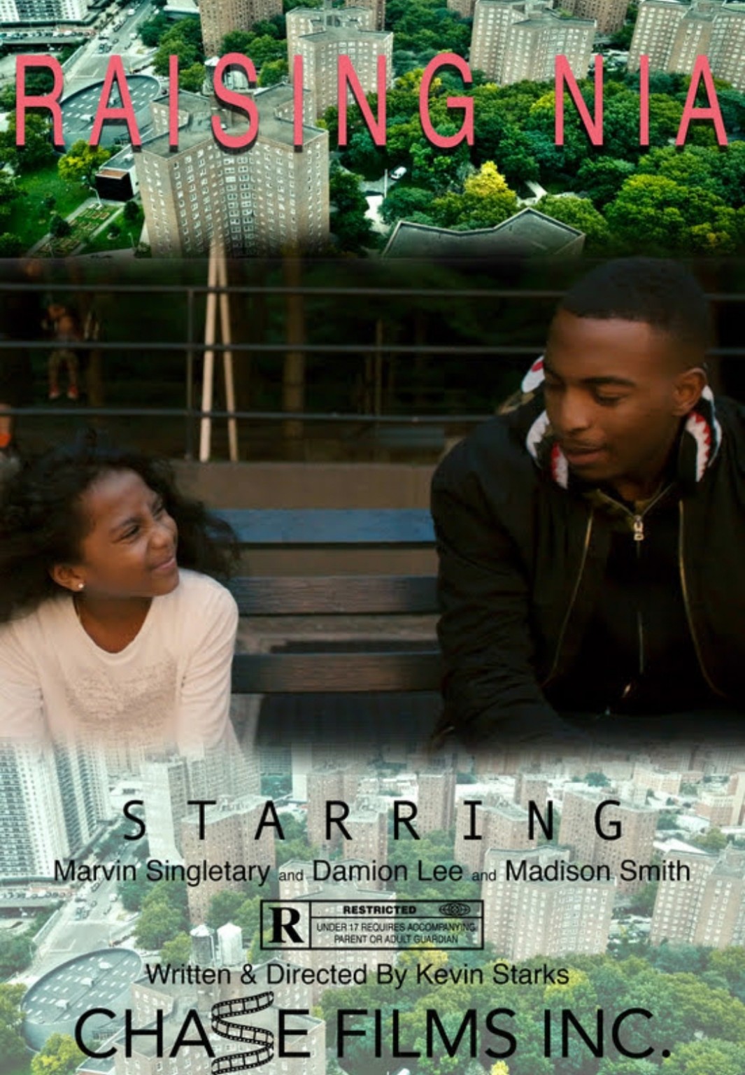 Raising Nia film poster